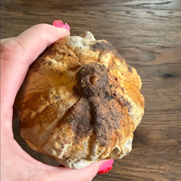 Rustic Textured Ceramic Decor - Picture 9 of 14